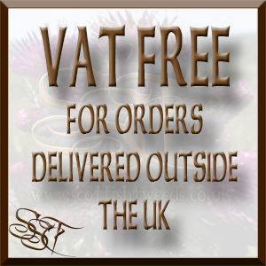 VTA FREEsmall